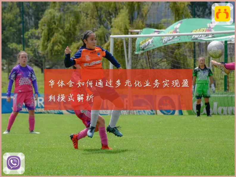 华体会如何通过多元化业务实现盈利模式解析